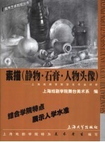 素描 静物·石膏·人物头像 上海戏剧学院学生作品评析