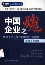 中国企业之魂  中国上市公司2003年报分析报告