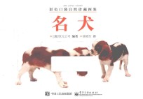 彩色口袋自然珍藏图鉴  名犬