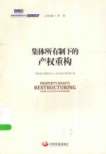 国务院发展研究中心研究丛书 集体所有制下的产权重构