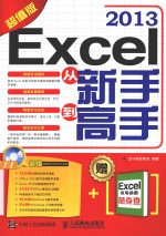 Excel 2013从新手到高手 超值版