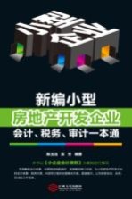 新编小型房地产开发企业会计、税务、审计一本通