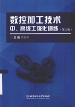 数控加工技术中、高级工强化训练