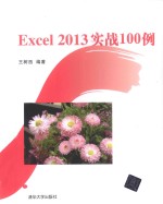 Excel 2013实战100例