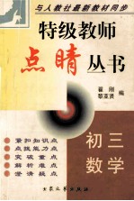 特级教师点晴丛书 初三数学