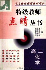 特级教师点晴丛书 高二化学