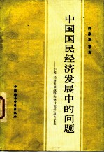 中国国民经济发展中的问题 中美“经济发展战略抉择讨论会”报告文集