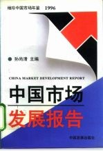 袖珍中国市场年鉴 中国市场发展报告 1996