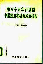 第八个五年计划期中国经济和社会发展报告