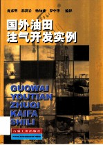 国外油田注气开发实例