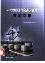 不同类型油气藏高效开发技术文集