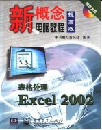 表格处理Excel 2002