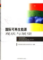 国际可再生能源现状与展望