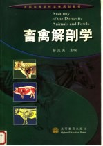 全国高等学校农林规划教材  畜禽解剖学