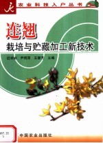 连翘栽培与贮藏加工新技术