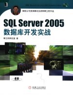 SQL Server 2005数据库开发实战