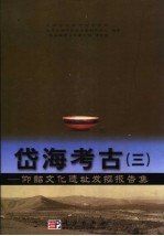 岱海考古  3  仰韶文化遗址发掘报告集