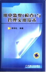 用电监察 检查 与管理实用技术