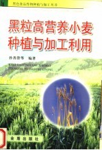 黑粒高营养小麦种植与加工利用