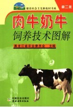 肉牛奶牛饲养技术图解