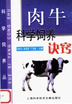 肉牛科学饲养诀窍