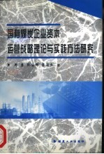 国有煤炭企业资本运营战略理论与实践方法研究