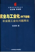 农业与工业化 中下合卷 农业国工业化问题再论