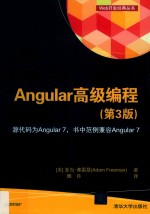 Web开发经典丛书 Angular 高级编程 第3版