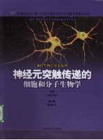 神经元突触传递的细胞和分子生物学