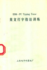 IBM-PC Typing Tutor英文打字指法训练