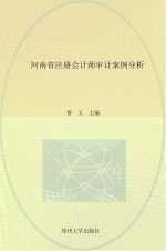 河南省注册会计师审计案例分析