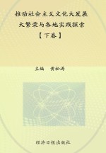 推动社会主义文化大发展大繁荣与各地实践探索 下