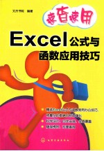 速查速用 Excel公式与函数应用技巧