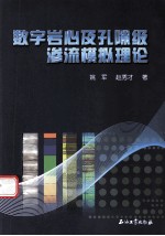 数字岩心及孔隙级渗流模拟理论