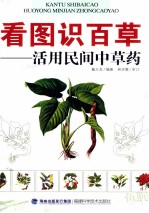 看图识百草 活用民间中草药