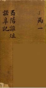 龙威秘书 17