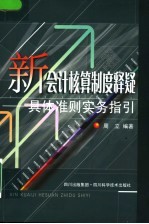 新会计核算制度释疑 具体准则实务指引