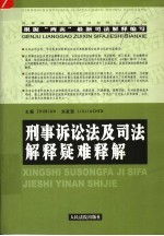 刑事诉讼法及司法解释疑难释解 第2版