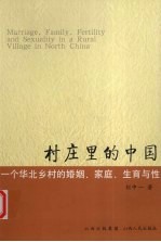 村庄里的中国  一个华北乡村的婚姻、家庭、生育与性