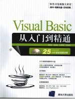 Visual Basic从入门到精通