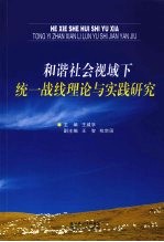 和谐社会视域下统一战线理论与实践研究