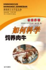 如何科学饲养肉牛