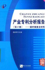 产业专利分析报告  第43册