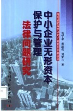 中小企业无形资本保护与管理法律问题研究