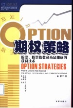 期权策略 股票、股票指数和商品期权的获利技术 第2版