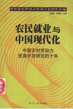 农民就业与中国现代化 中国农村劳动力资源开发研究的十年