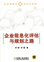 企业信息化规划与执行系列  企业信息化评估与规划之路