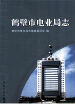 鹤壁市电业局志