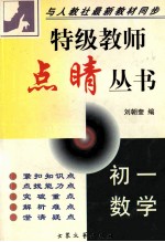 特级教师点晴丛书 初一数学