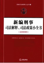 新编刑事司法解释 司法政策小全书